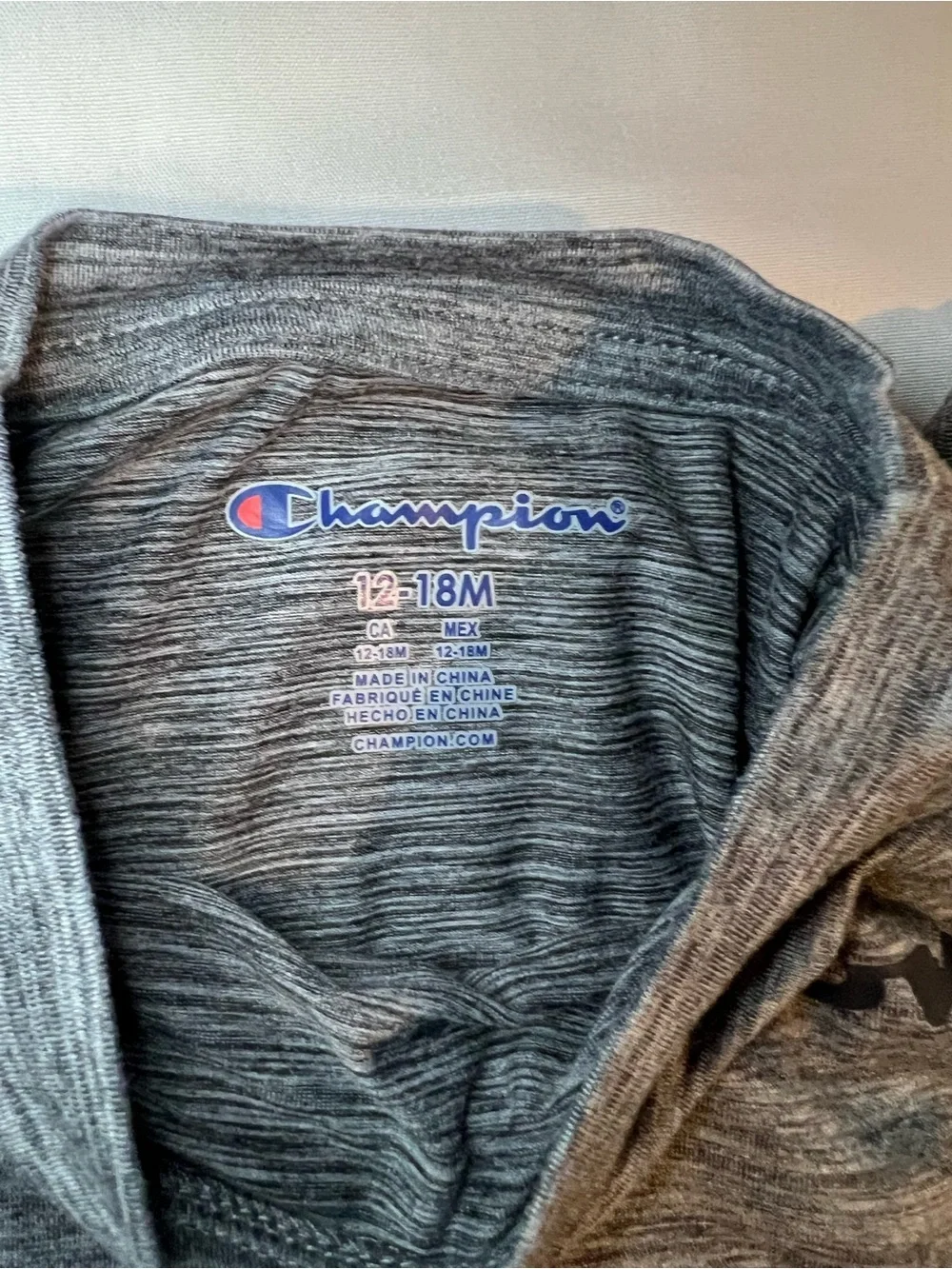 Champion gray tee